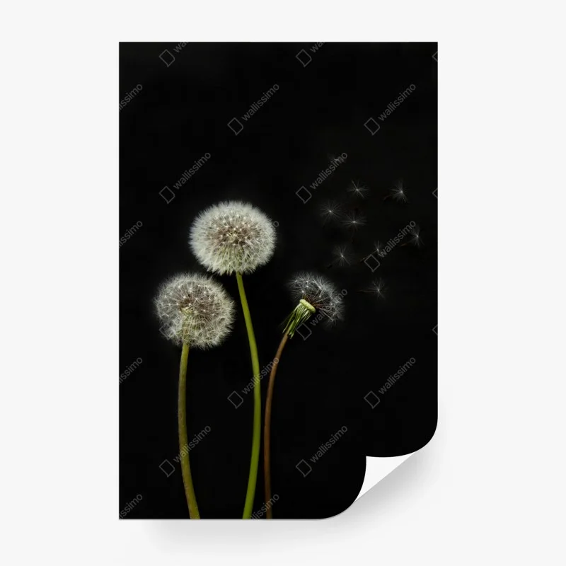 Blumen – Wallnifity®