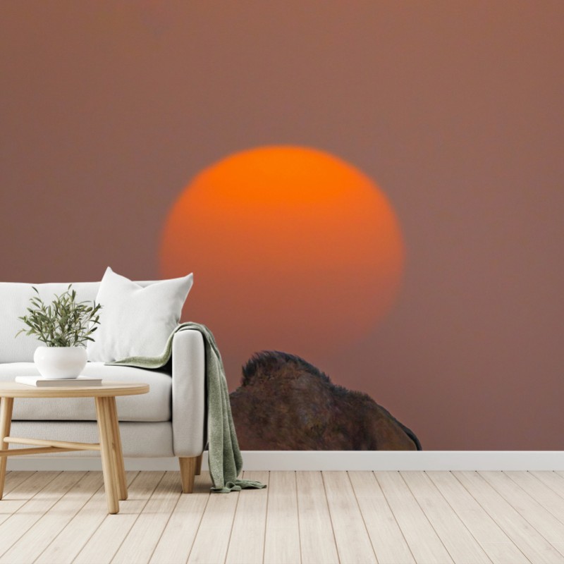 Natur – Wallnifity®