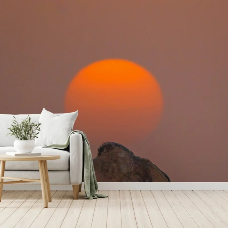 Wüste – Wallnifity®