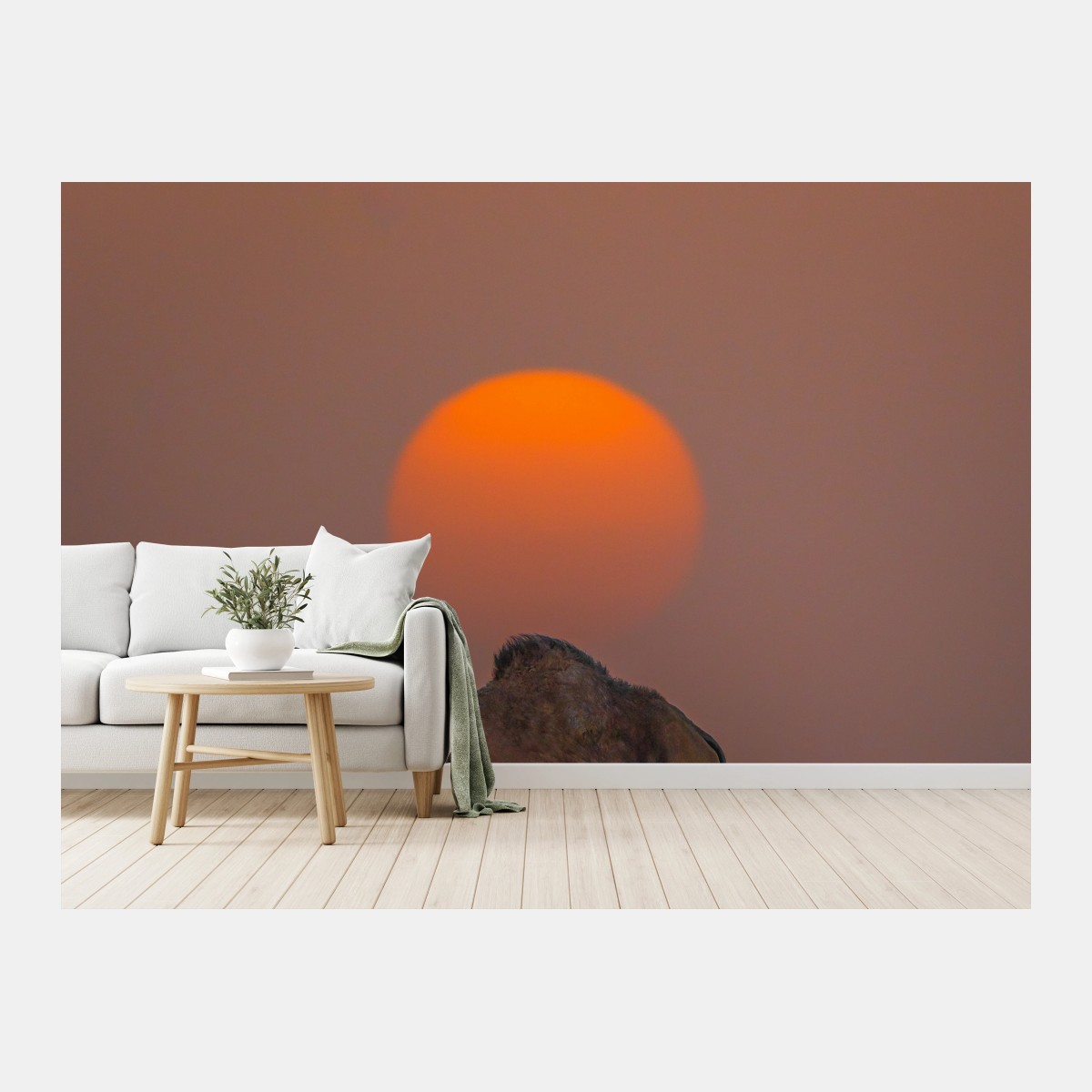 Fototapete kamel vor sonnenuntergang in der wüste – Wallnifity®