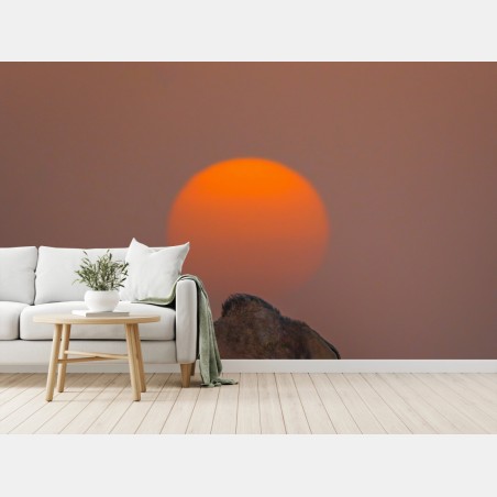 Fototapete kamel vor sonnenuntergang in der wüste – Wallnifity®