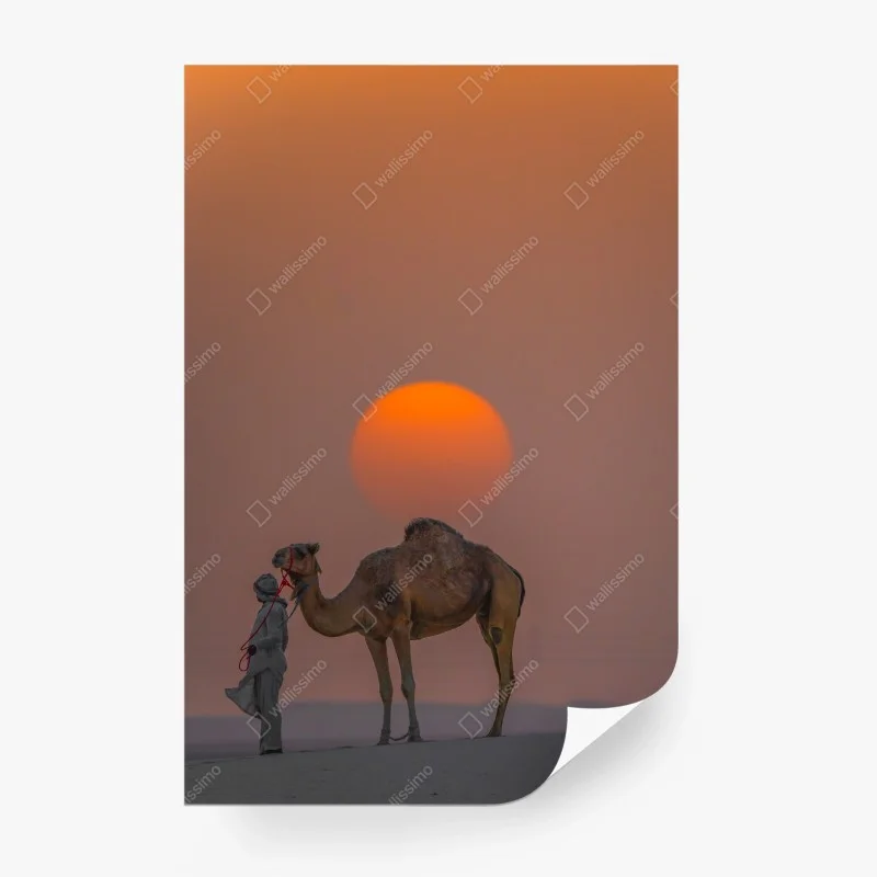 Wüste – Wallnifity®