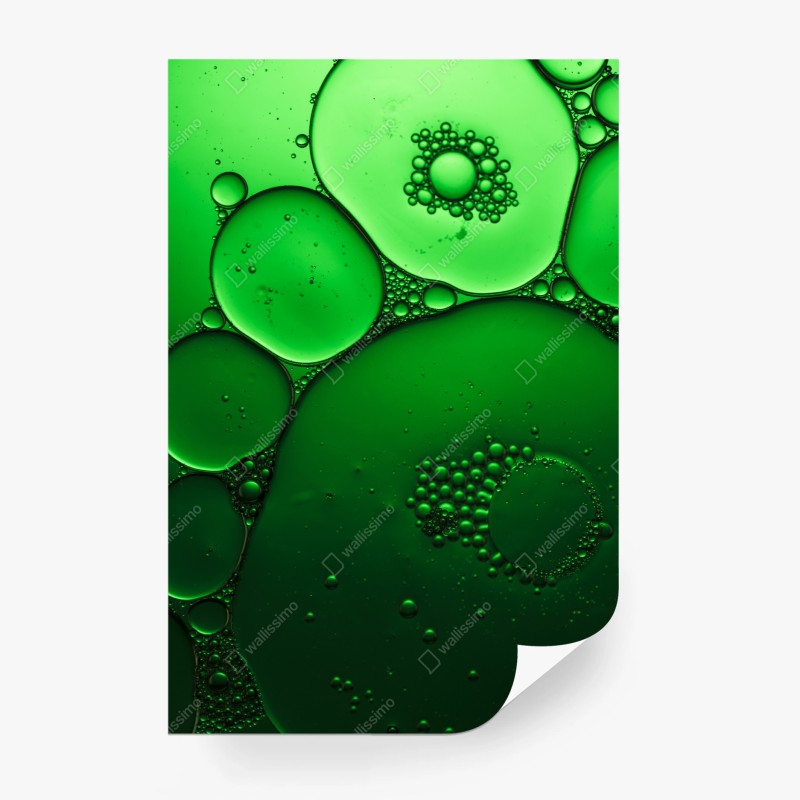 Modern – Wallnifity®
