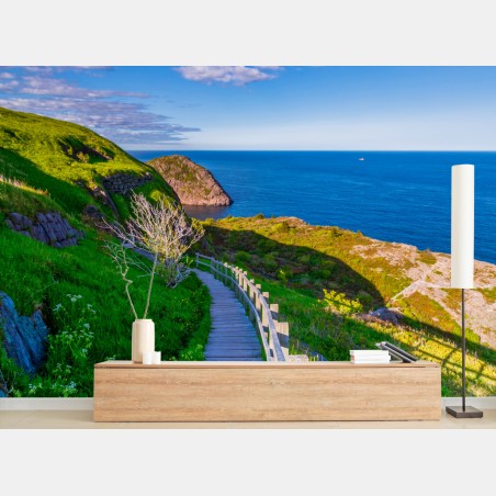 Fototapete küstenpfad mit blick auf das meer – Wallnifity®