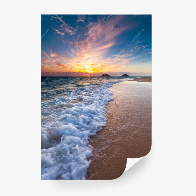Natur – Wallnifity®