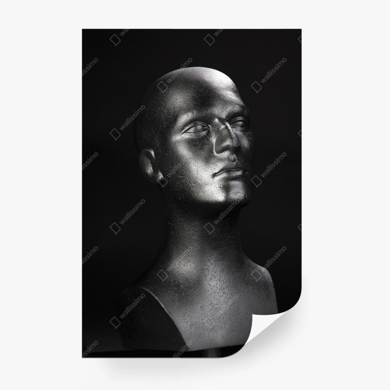 Modern – Wallnifity®