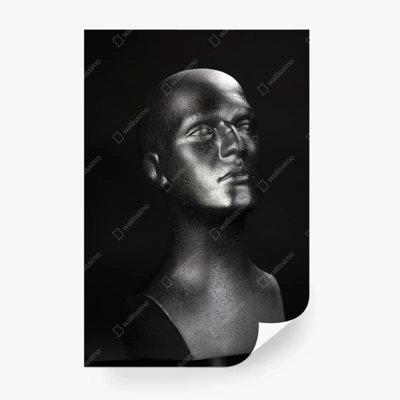 Reproduktionen – Wallnifity®