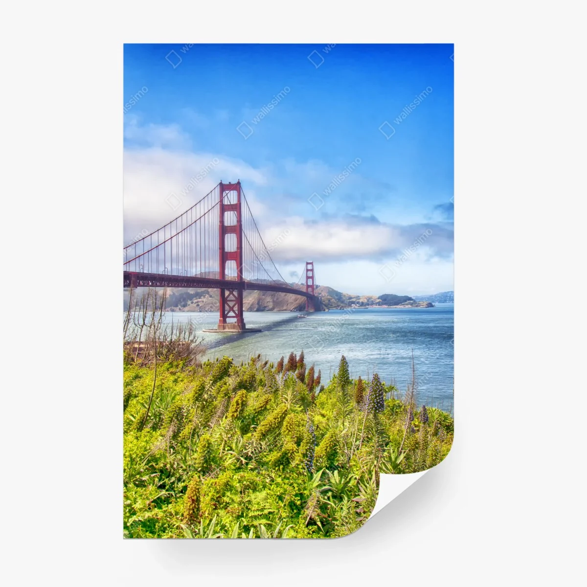 Fototapete Golden Gate über der Bucht von San Francisco – Wallnifity®