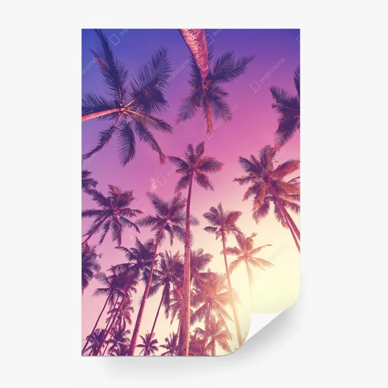 Boho – Wallnifity®