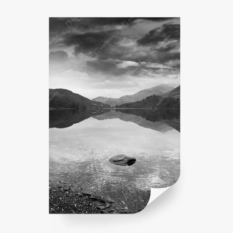 Fototapeten – Wallnifity®
