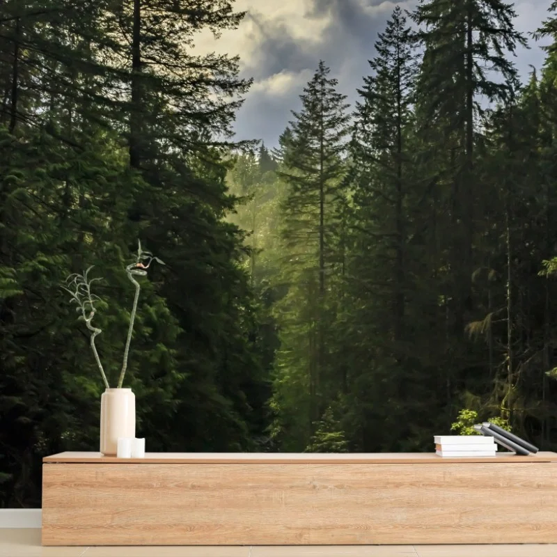 Wälder – Wallnifity®