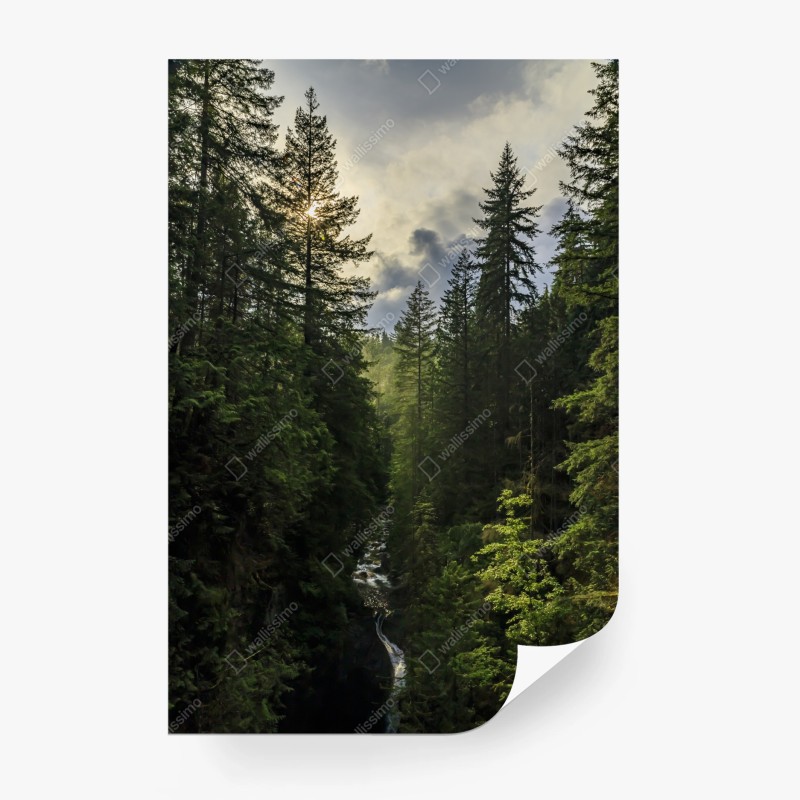 Natur – Wallnifity®
