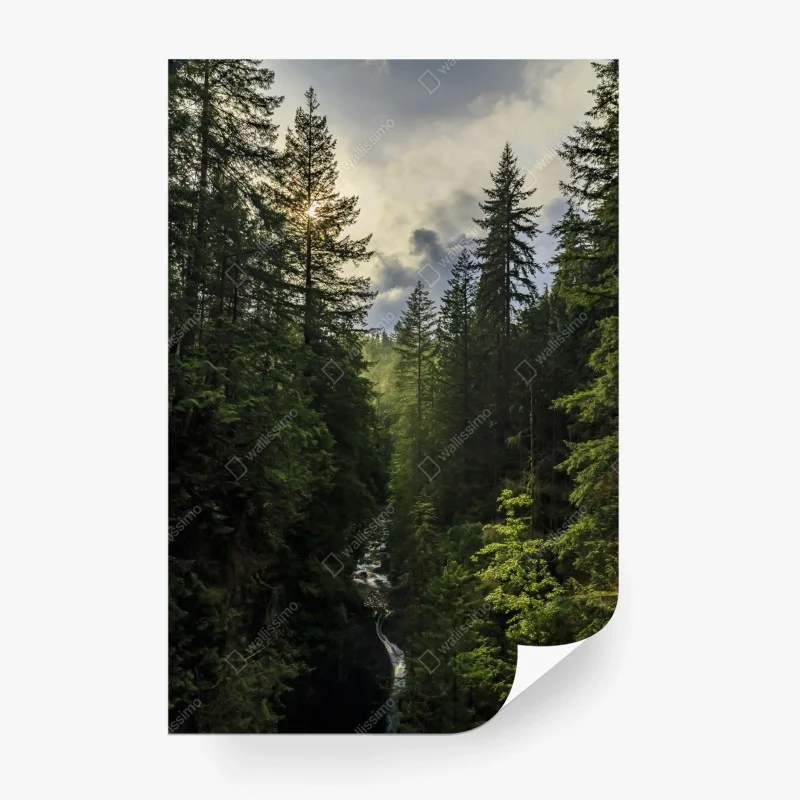 Wälder – Wallnifity®