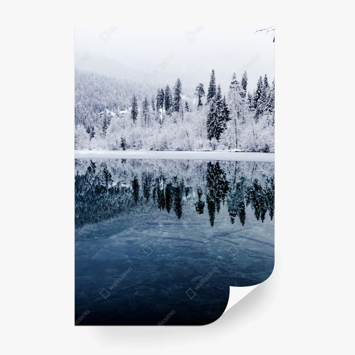 Fototapete winterlicher see mit spiegelung im verschneiten wald – Wallnifity® Fototapete winterlicher see mit spiegelung im verschneiten wald – Wallnifity®