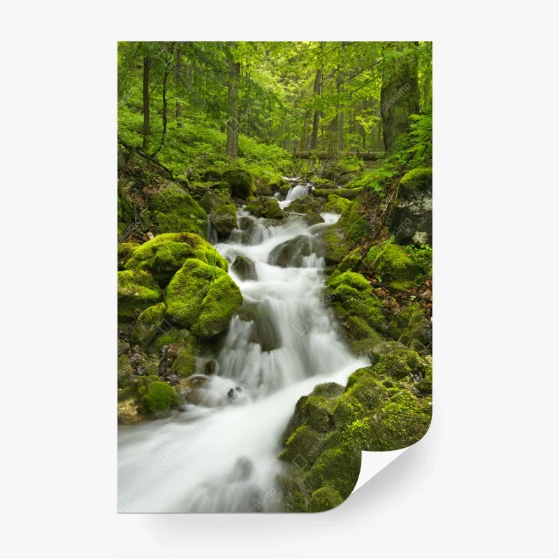 Fototapete moosiger wasserfall – Wallnifity®