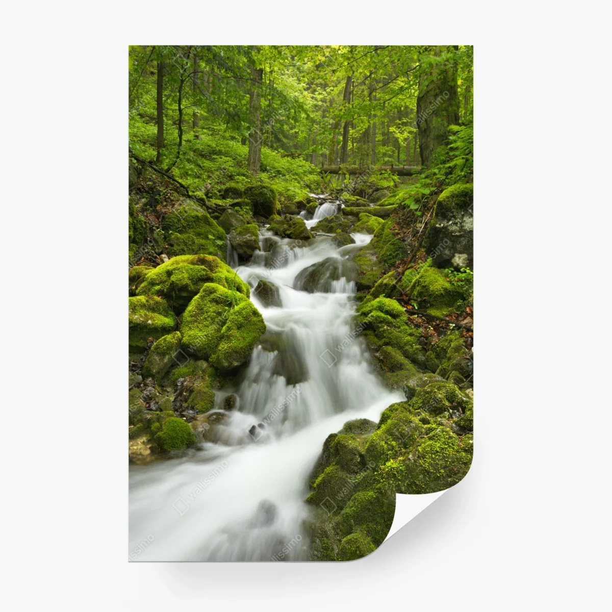 Fototapete moosiger wasserfall – Wallnifity®