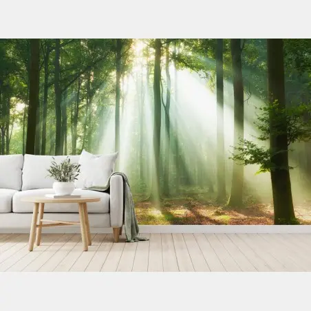 Fototapete morgendliches licht im wald – Wallnifity®
