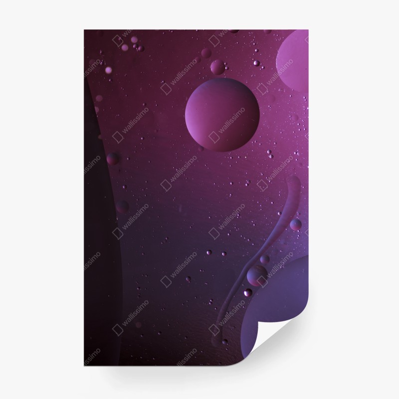 Modern – Wallnifity®