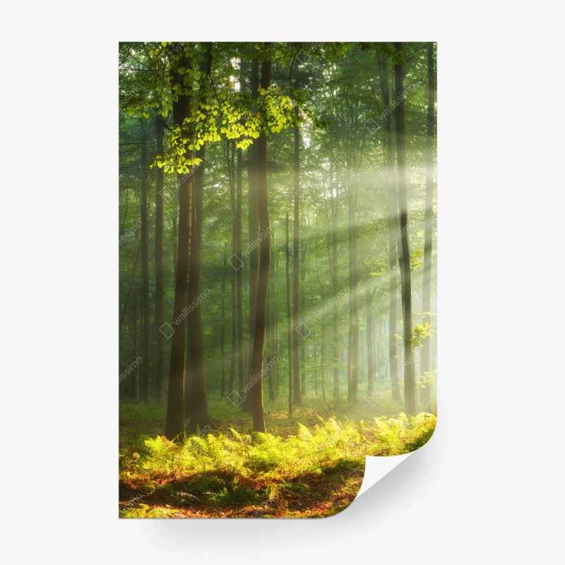 Natur – Wallnifity®