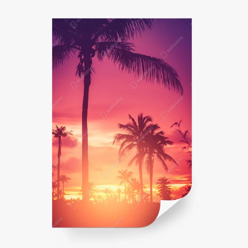 Boho – Wallnifity®