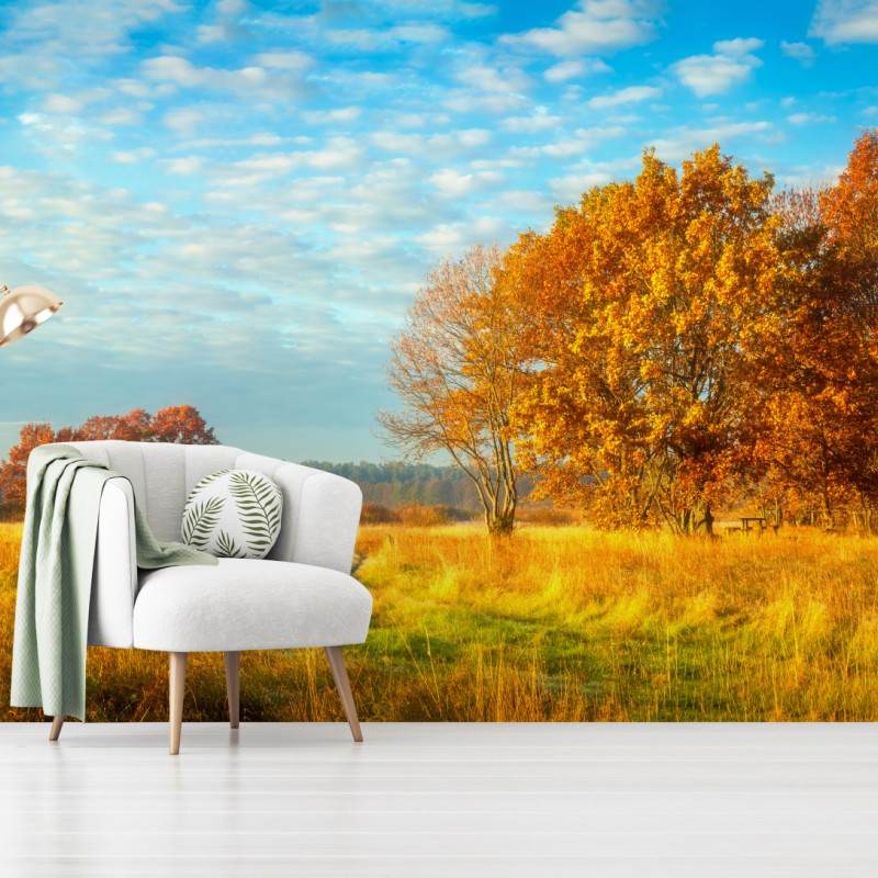 Fototapeten – Wallnifity®