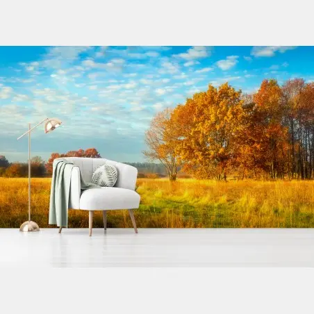 Fototapete goldene herbstwiese – Wallnifity®