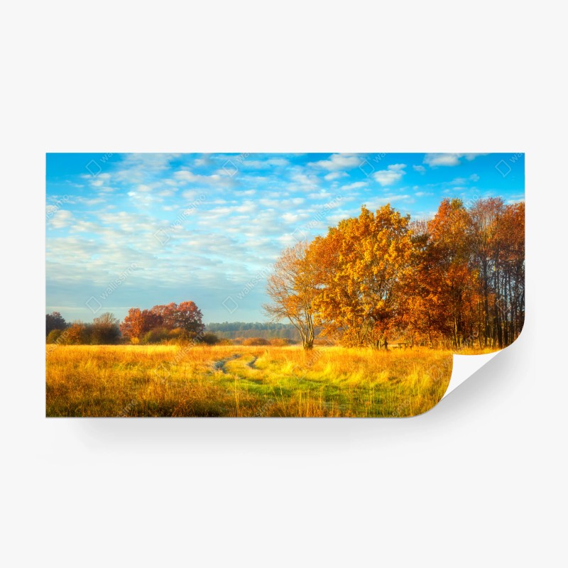 Fototapeten – Wallnifity®