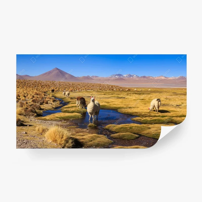 Natur – Wallnifity®