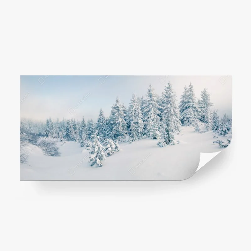 Landschaften – Wallnifity®