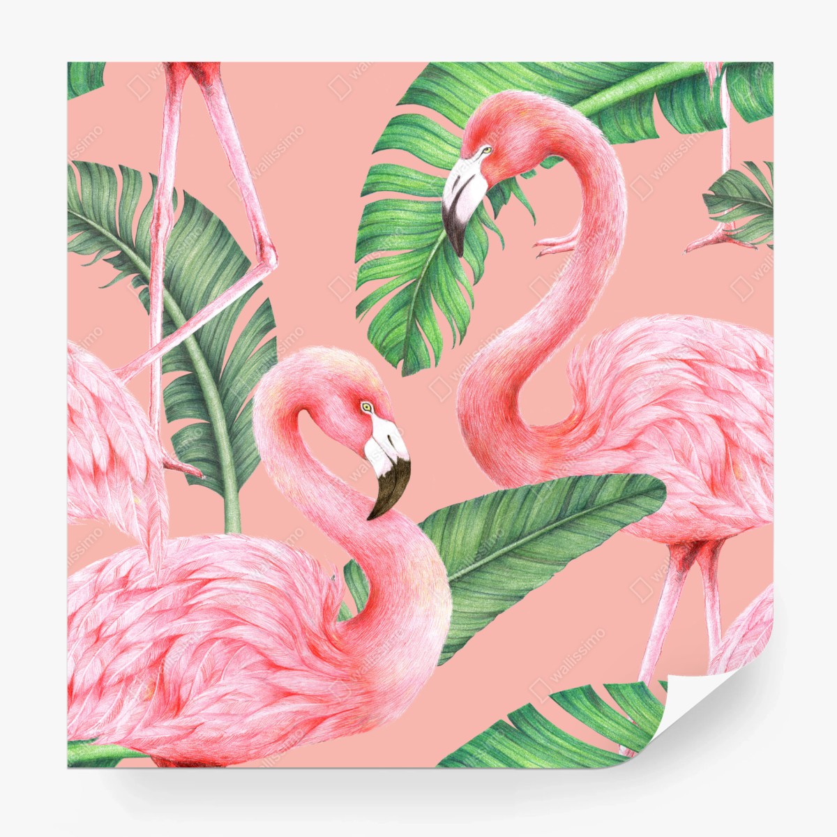 Fototapete rosa flamingo muster mit tropischen blättern – Wallnifity®