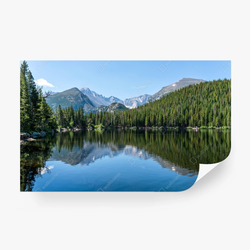 Natur – Wallnifity®