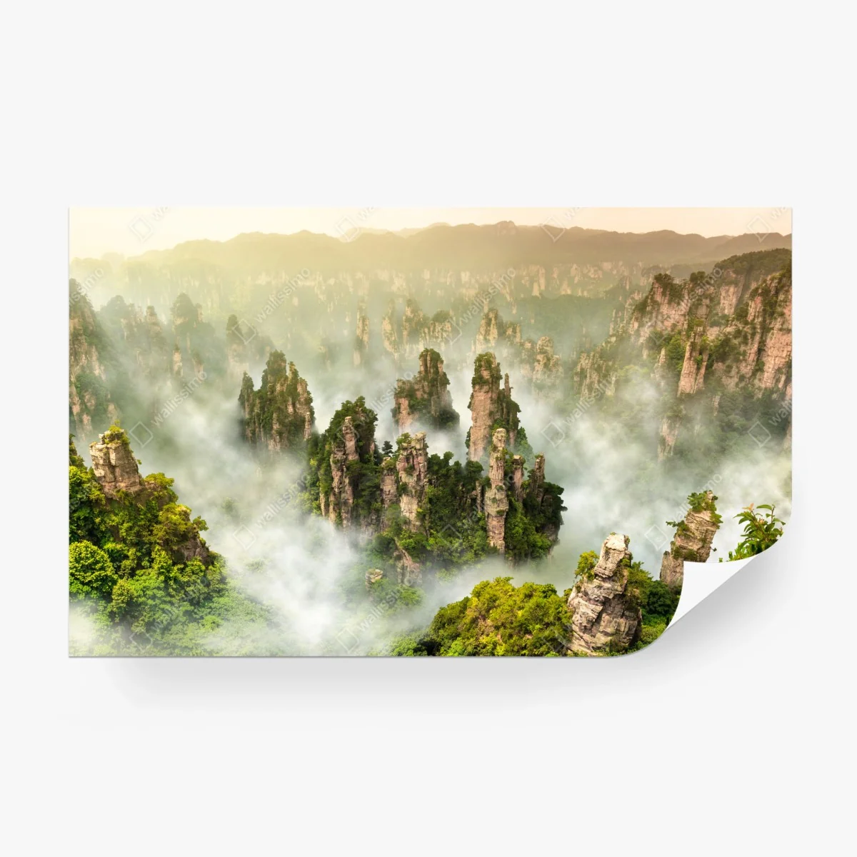 Fototapete neblige säulen von Zhangjiajie – Wallnifity®