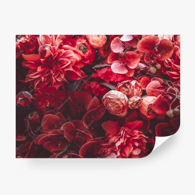 Fototapete prächtiges blütenmeer in tiefroten tönen – Wallnifity®