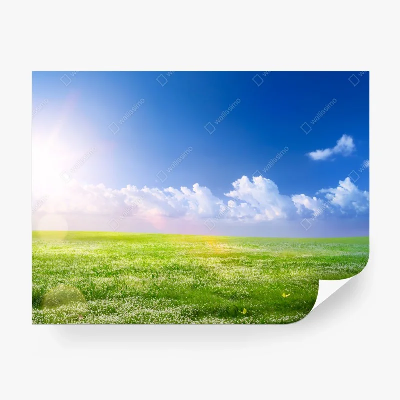 Wiesen – Wallnifity®