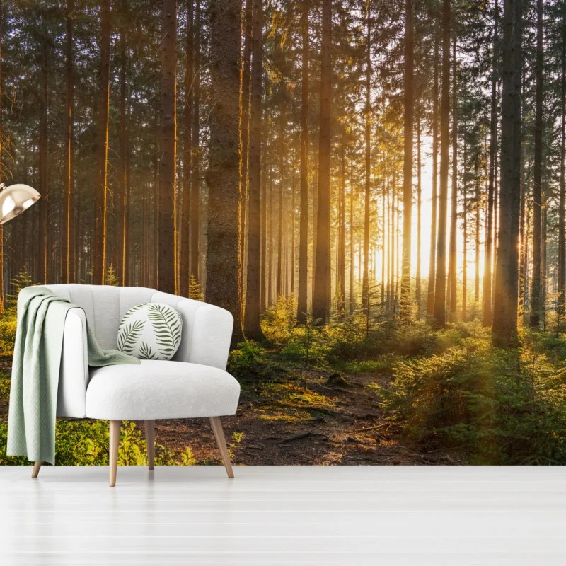 Wohnzimmer – Wallnifity®