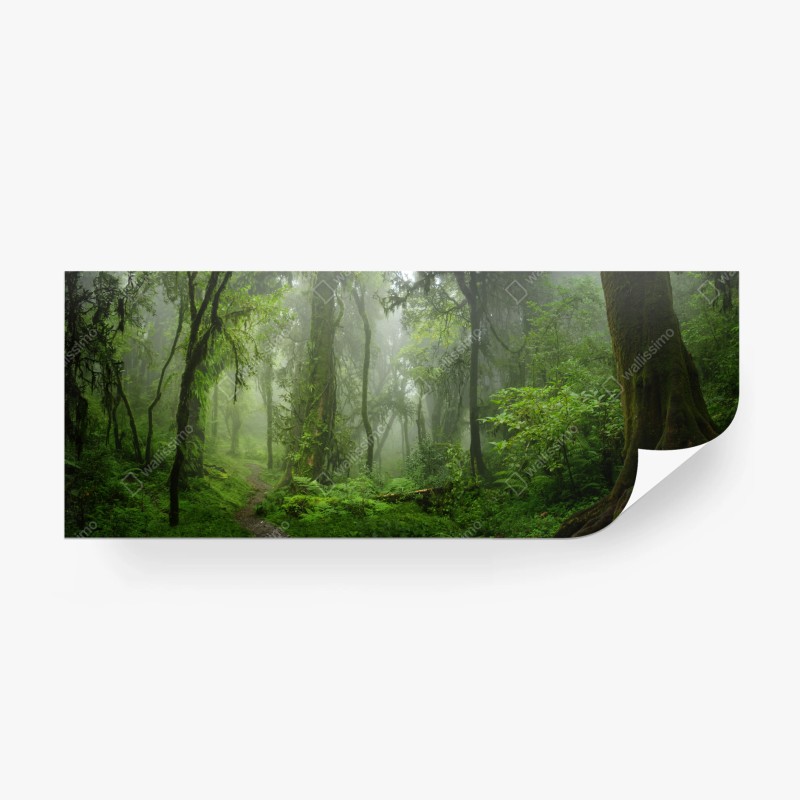 Fototapeten – Wallnifity®