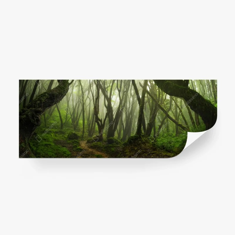 Wälder – Wallnifity®