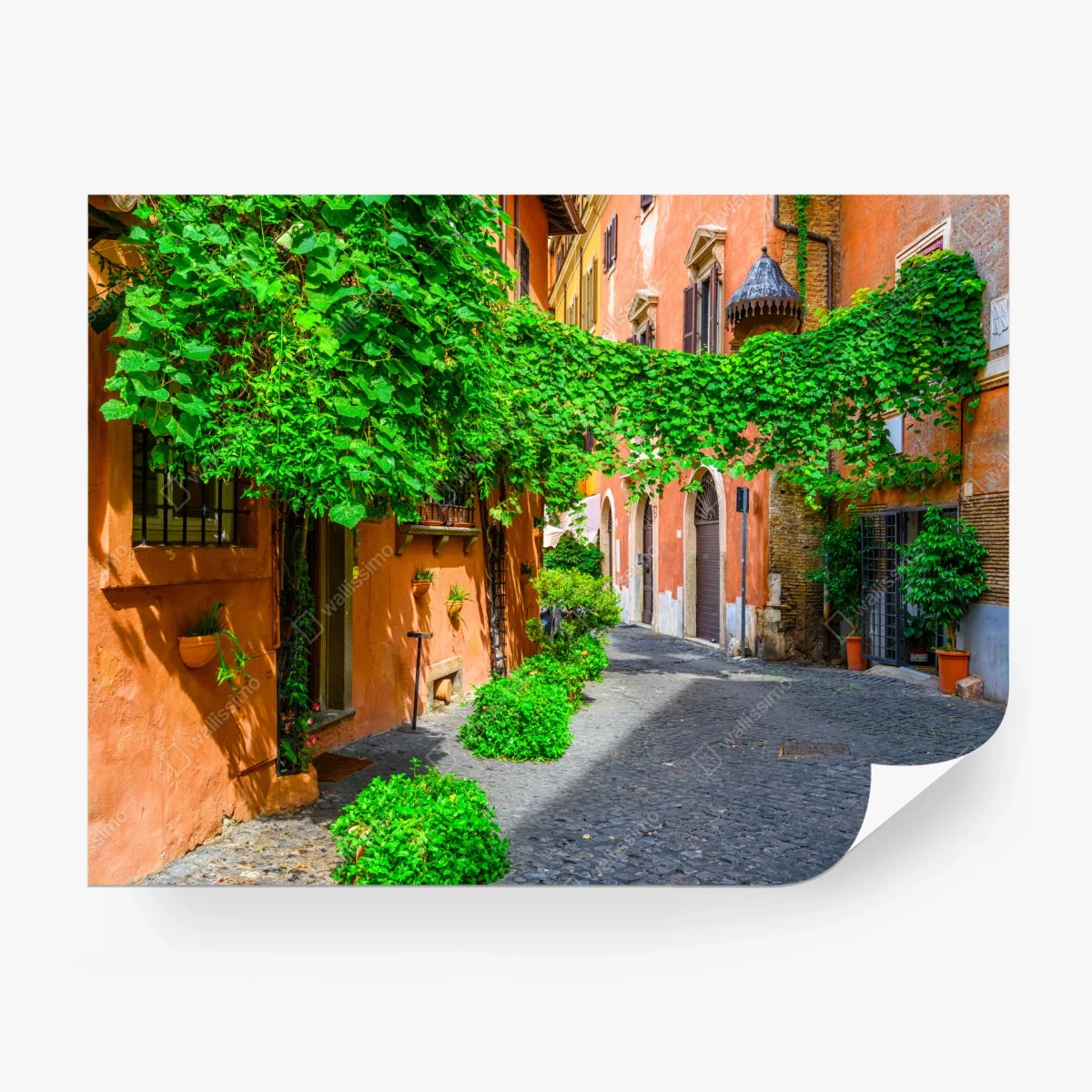 Fototapete malerische gasse in Trastevere, Rom – Wallnifity®