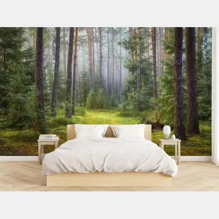 Fototapete nebliger kiefernwald mit pfad – Wallnifity®