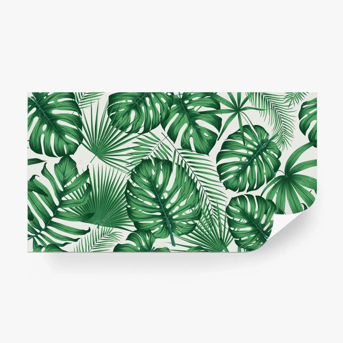 Fototapete tropisches monstera- und palmblättermuster – Wallnifity®