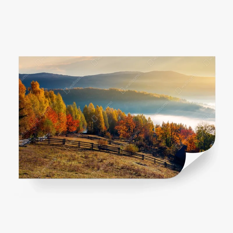 Wohnzimmer – Wallnifity®