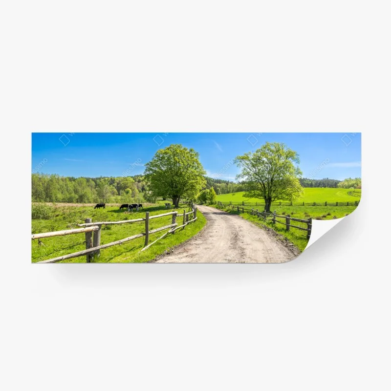 Fototapete – Wallnifity®