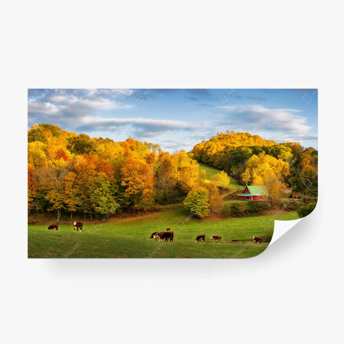 Fototapete herbstliche landschaft mit roter scheune – Wallnifity®
