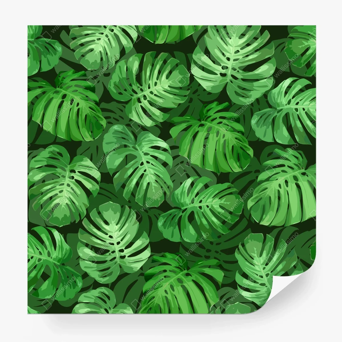 Fototapete tropisches monstera-blattmuster – Wallnifity® Fototapete tropisches monstera-blattmuster – Wallnifity®