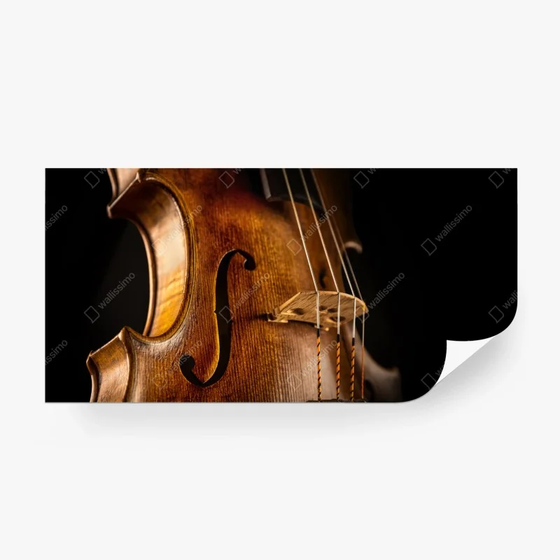 Kultur und Unterhaltung – Wallnifity®