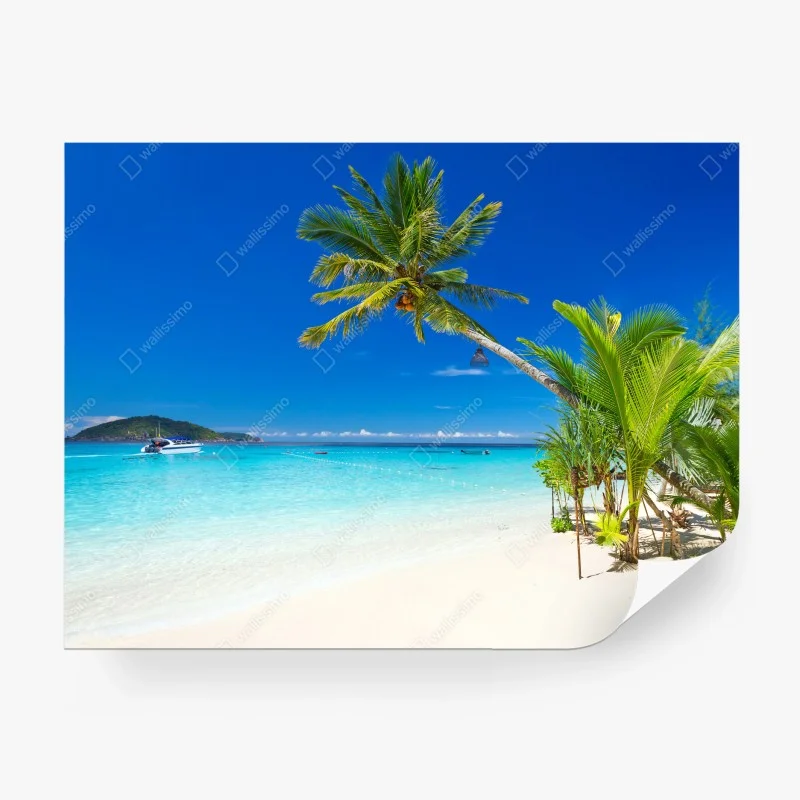 Natur – Wallnifity®