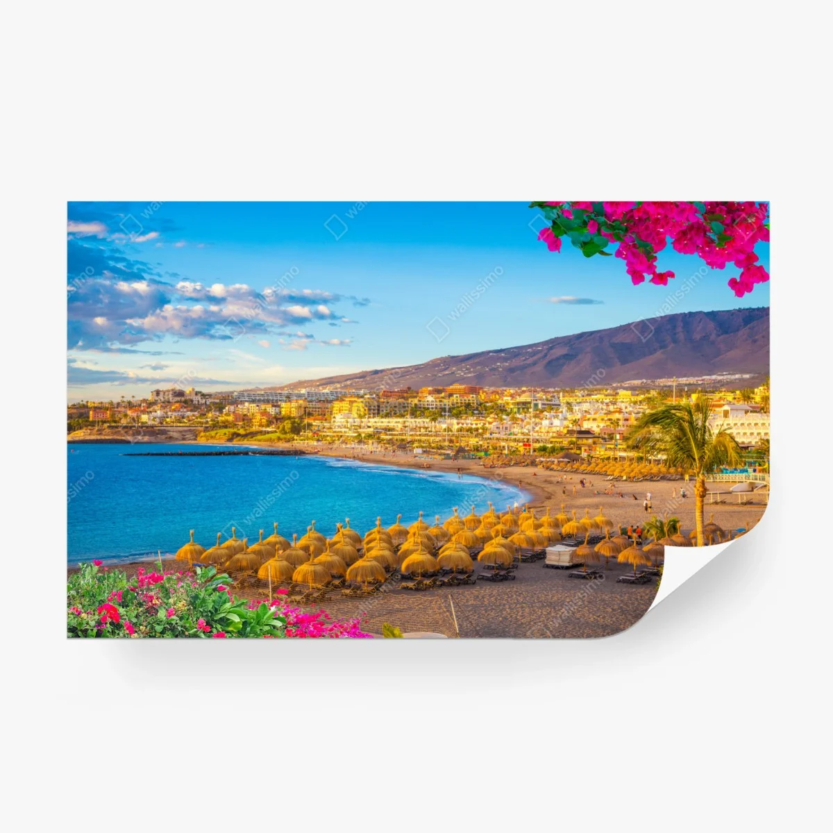 Fototapete sonniger strand Torviscas, Teneriffa – Wallnifity® Fototapete sonniger strand Torviscas, Teneriffa – Wallnifity®