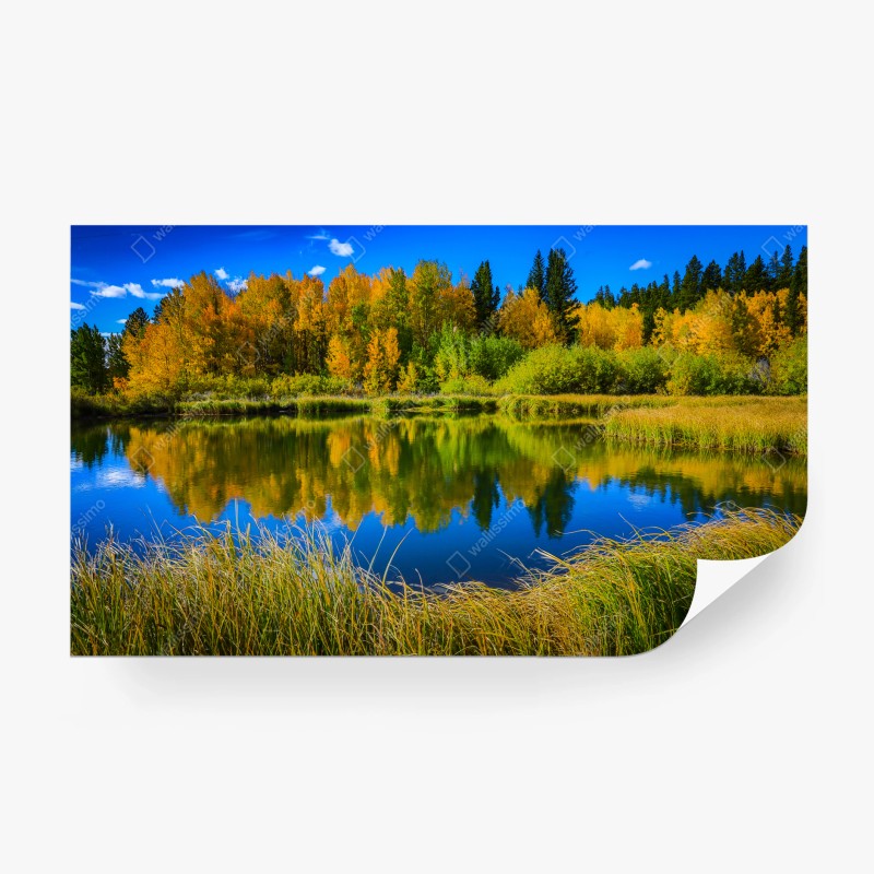Natur – Wallnifity®