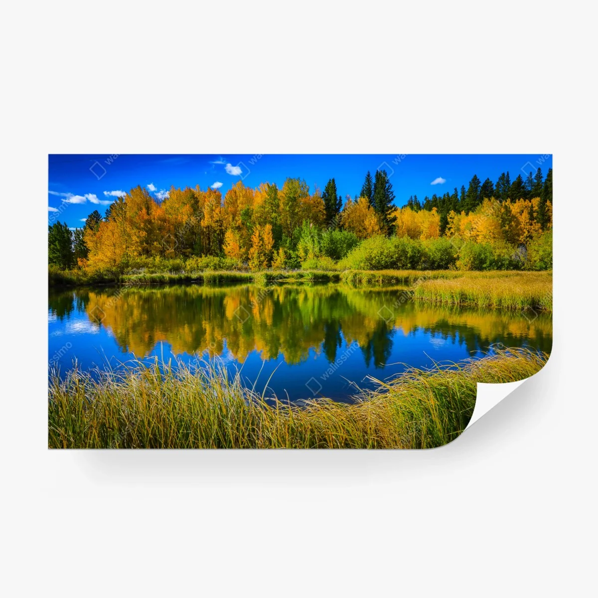 Fototapete herbstbäume spiegeln sich in einem ruhigen see – Wallnifity®