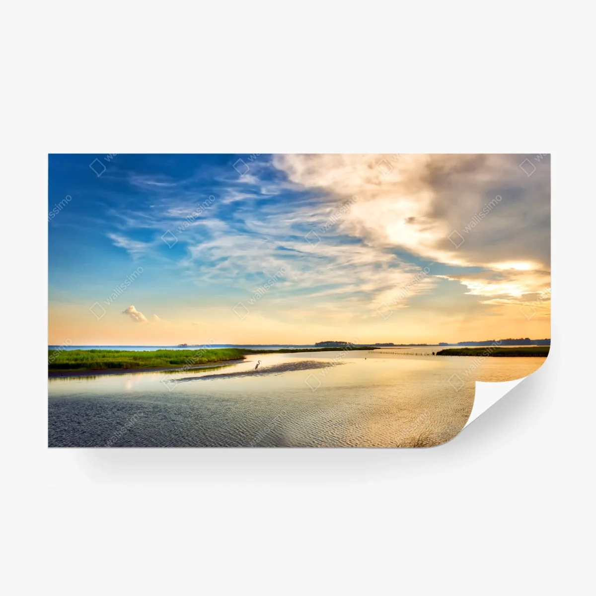 Fototapete graureiher in der Chesapeake-Bucht bei sonnenuntergang – Wallnifity®